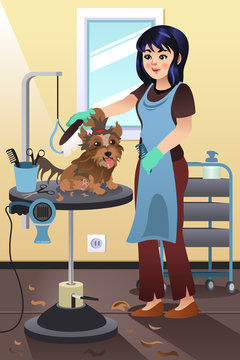 Pet Groomer Grooming a Dog at the Salon