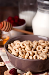 Healthy breakfast - cereal rings in a bowl with milk