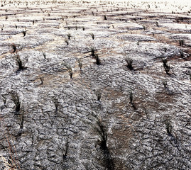 Drought land