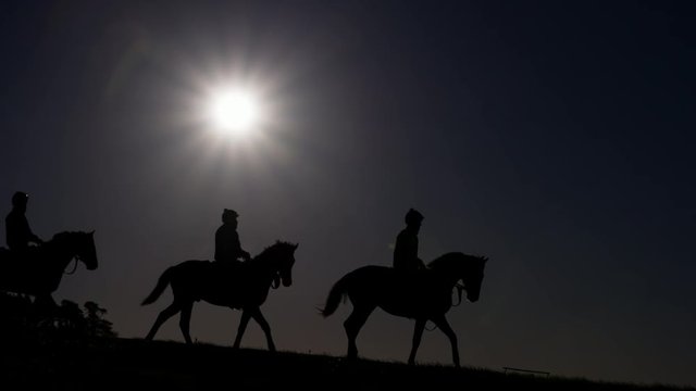 Race Horses and Jockeys Silhouetted