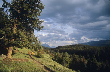 Man mountain biking in Jasper, Alberta, Canada.