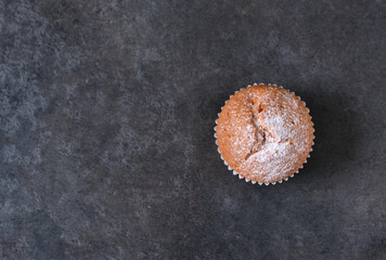 Homemade vanilla muffin with icing sugar on a concrete background