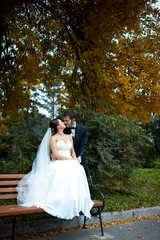 Groom hugs bride from behind while she sits on the bench in autu