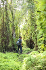 Man and Green Wetland Forest in Rayong at Thailand