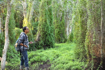 Naklejka premium Man and Green Wetland Forest in Rayong at Thailand