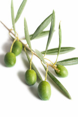 Green olives