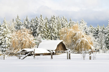 A rural farmhouse in winter, Central Saanich near Victoria, BC.
