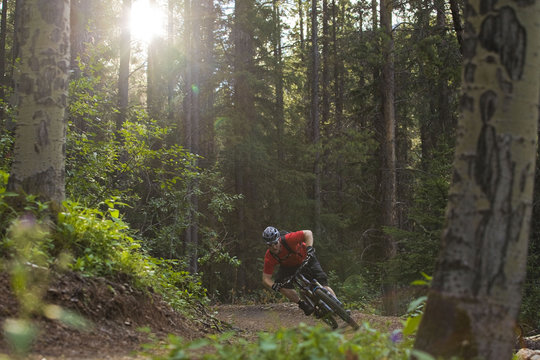 A mountain biker rides the highline trail in Canmore, AB
