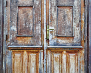 vintage house solid wood door