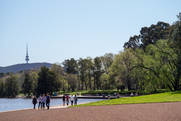 Fototapeta premium Park