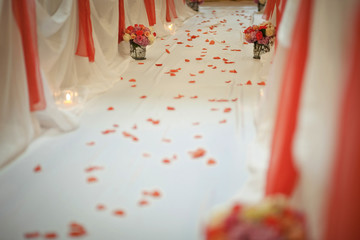 Red petals lie on white path leading to wedding altar