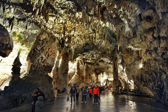 Fototapeta Stalactites and stalagmites inside the Postojna cave (Postojna Jama), Slovenia 