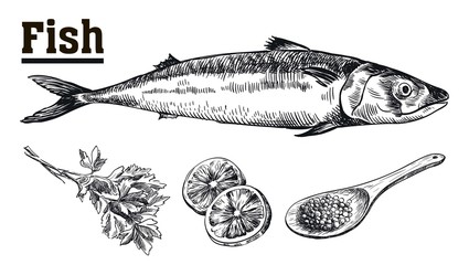 Seafood. Mackerel. Fish and spices. Sketches drawn by hand.