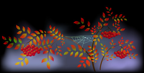 Landscape from autumn leaves, rowan and web. EPS10 vector illustration