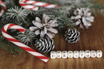 branches of a pine cone Christmas