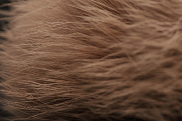 Texture photography studio