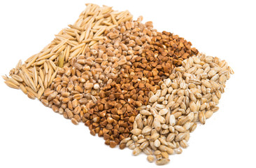 background buckwheat, barley, wheat, oats