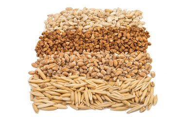 background buckwheat, barley, wheat, oats