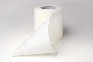 roll of white toilet paper