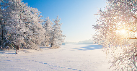 Fototapeta na wymiar Winter park in snow