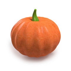 Big orange pumpkin isolated on white background. 3D illustration.