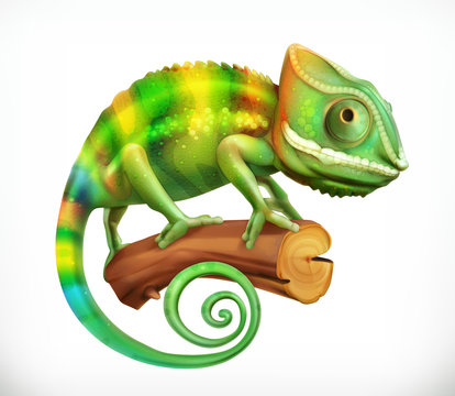 Chameleon. 3d vector icon