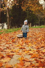 toddler boy in fall