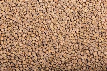 Green coffee beans close up