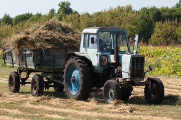 Old tractor in summer on field.