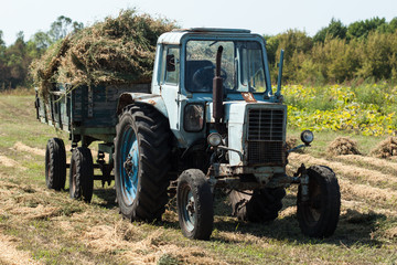 Old tractor in summer on field.