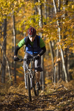 A man mountain biking in forest of  Coaticook, Quebec
