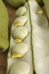 Broad Beans or Fava Beans
