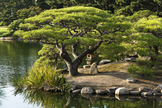 One of the top three most beautiful gardens in Japan, Korakuen lies to the south of Okayama Castle and was commissioned by daimyo Ikeda Tsunamasa in 1686. 