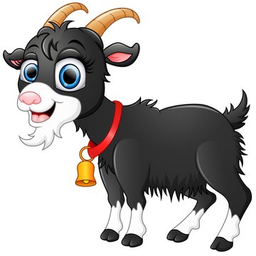 Cute black goat cartoon 