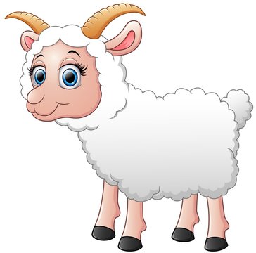 Cute sheep cartoon 