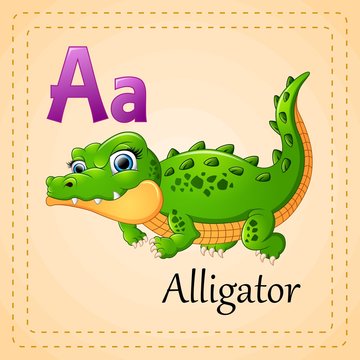 Animals alphabet: A is for Alligator