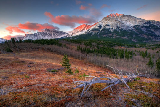 Sunrise and alpenglow above Crowsnest Pass on the border of Alberta and British Columbia, Canada