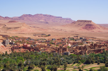 Fototapeta na wymiar Green oasis in Morocco
