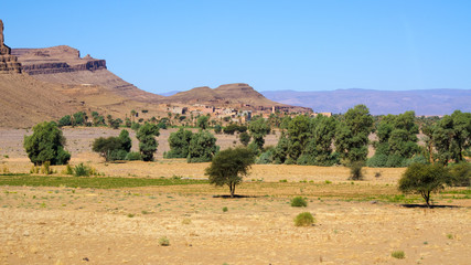 Green  oasis in Morocco