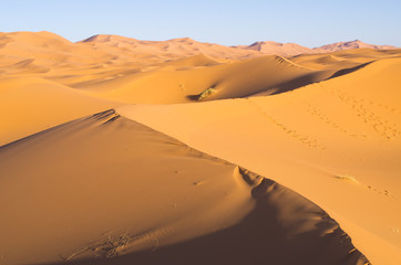 Naklejka na ściany i meble Sahara desert in Morocco
