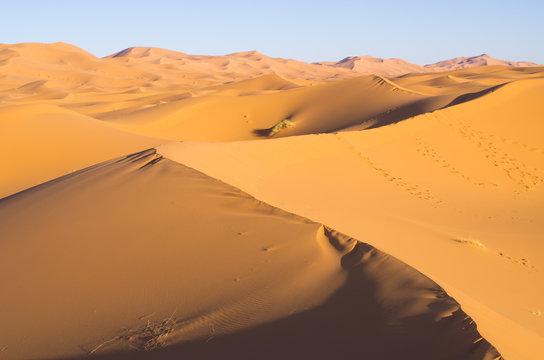 Sahara desert in Morocco © CCat82