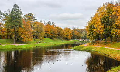Fototapeta na wymiar Autumn landscape. Park with lake.