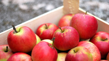 Red apples in the crate