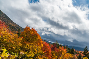 Fototapeta premium Indian Summer