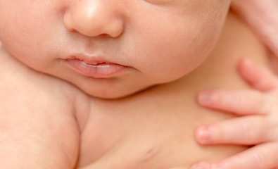 close up of face with sweet cheeks, lips and nose of a newborn baby
