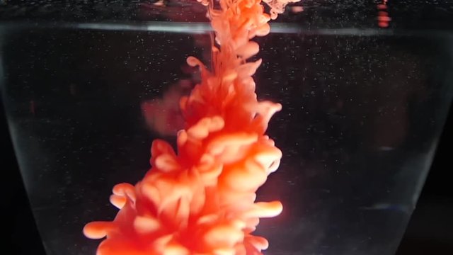 color slplashes of paint in water slow motion
