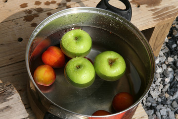Apples and plums that are piled in a bowl
