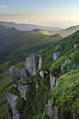 Summer morning mountain landscape with fir forest on slope