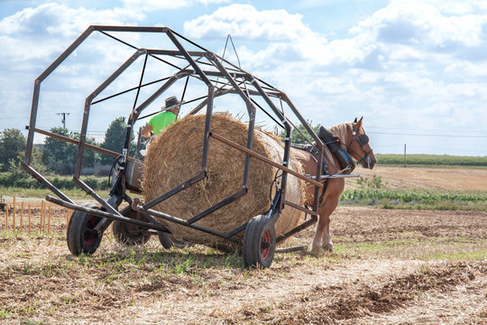 R&eacute;cup&eacute;ration de botte de foin dans une remorque