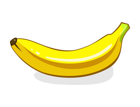 Banana. Single Ripe yellow Fruit. Vector illustration isolated on white background. Eco vegetarian food